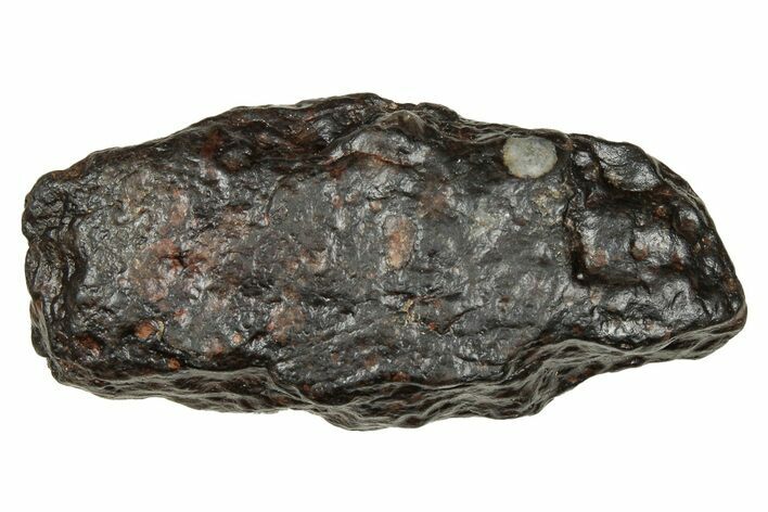 Carbonaceous Chondrite Meteorite ( g) - NWA #334352